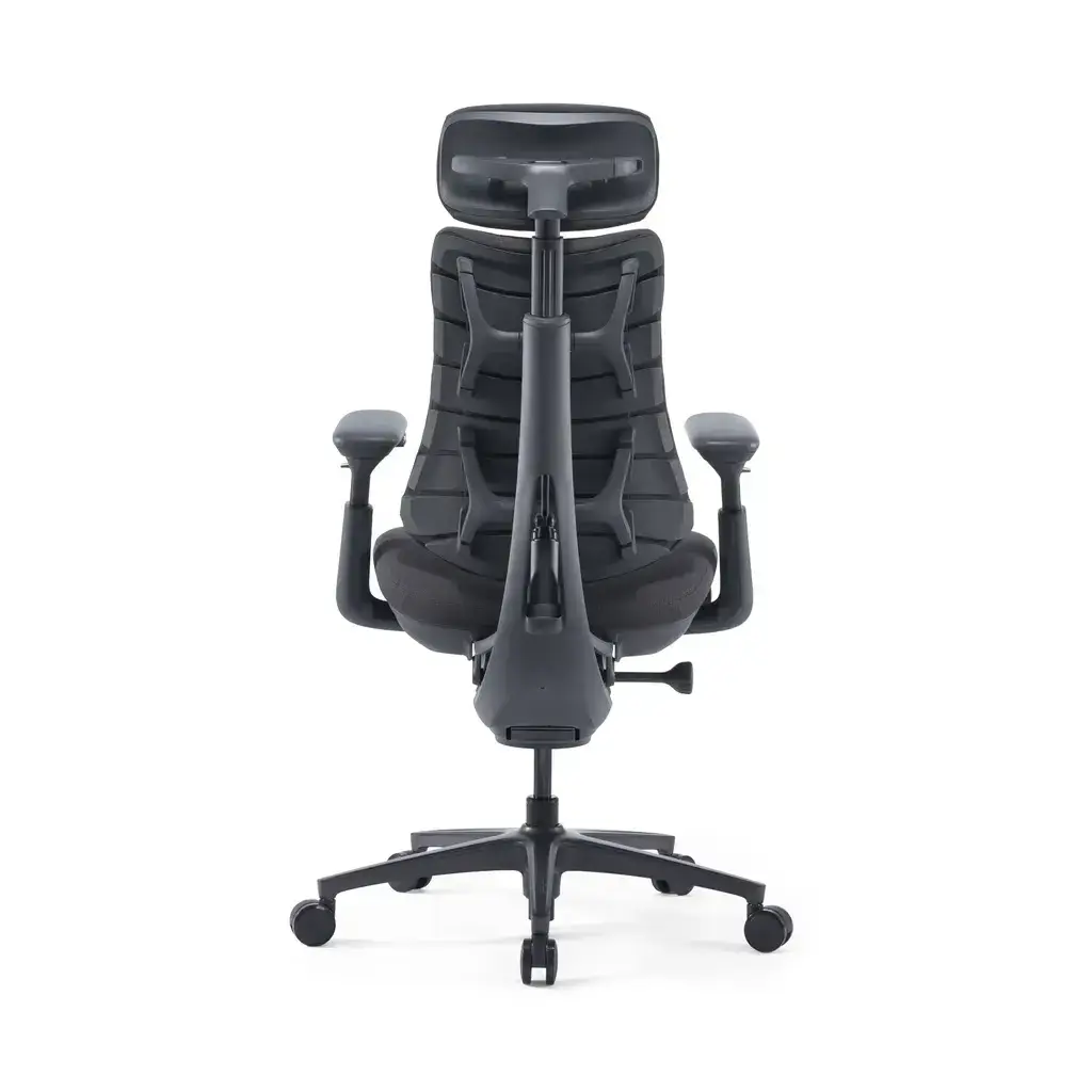 LiberNovo Omni