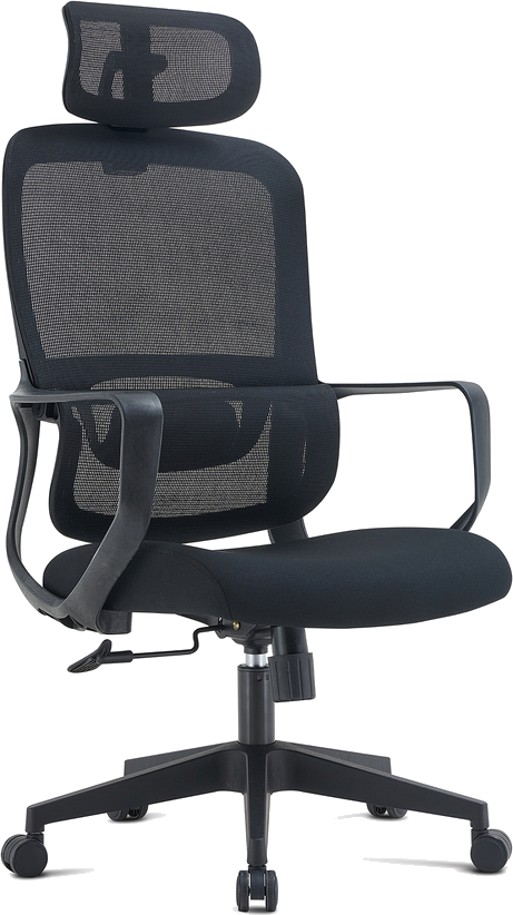 Silla Ergonómica Neonix Essential